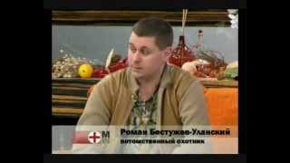 Бобровая струя. Роман Бестужев-Уланский