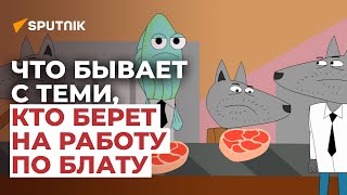 Что бывает с теми, кто берет на работу по блату