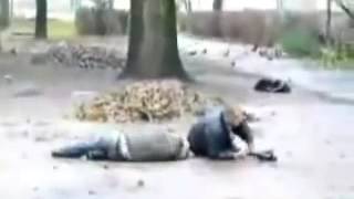 bocmanis - bubenīša reklāma 1