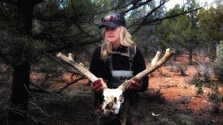 Giant Buck And Exploding Coyote Antler Trader