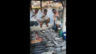 Soax Fishing - Mancing Dasaran