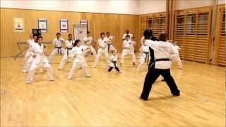 Harlem Shake (North London Taekwondo)