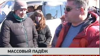 Массовый падеж. Новости 21/03/2018 GuberniaTV