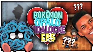 ❤️ POKÉMON ÓPALO VIDALOCKE #5 - ? ESTE POKÉMON NOS VA A DAR EL LOCKE...