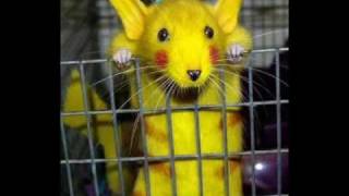 funny pokemon pics dota