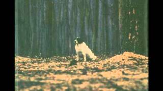 Quidam - Dodekafonix (Saiko)