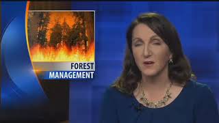 10:00 News ON DEMAND: 10.30.17