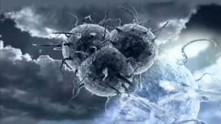 Virus Inc. - The Virus