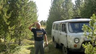 Семинский; Тайга Алтайская.шишка бьём!!!!!!