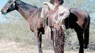 Western Horses