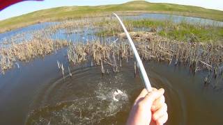 Lots of Drift HD Largemouth Bass Using Duckett Micro Guide Rod