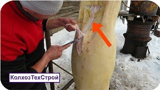 Обработка и разделка домашнего поросёнка