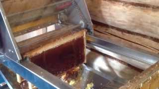 Пчеловодство: BeeBox+линия Paradise Honey на откачке мёда.
