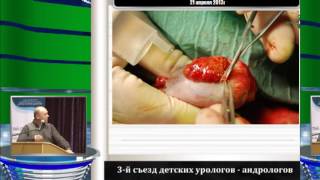 Боголюбов С В - Новые подходы к лечению бесплодия при синдроме Кляйнфельтера