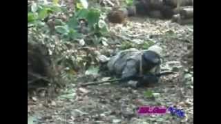 BB.GUN ท่าบ่อทีม จ.หนองคาย