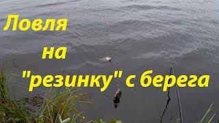 Ловля на резинку с берега, рыбалка на леща