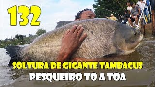 Soltura de TAMBAS GIGANTES no Pesqueiro TO A TOA