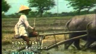 CSGK.BOWO DANDANG GULO KONCO TANI .VOC WALJINAH