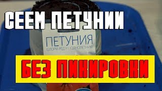 Как посеять  петунии в марте без пикировки и вырастить рассаду в улитке. Сажаем семена петуний