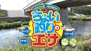 ハリにひと粒付けるだけ!