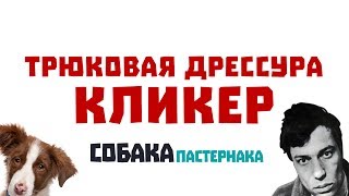 ТРЮКОВАЯ ДРЕССУРА. КЛИКЕР I СобакаПастернака #9