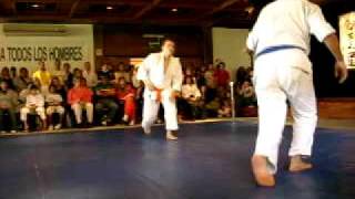 XX Encuentro Nacional de Aikido. Musubi Aikikai