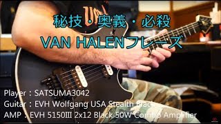 【SATSUMA3042がEVHを弾いてみた】～秘技・奥義・必殺VAN HALENフレーズ編～ SATSUMA3042 Plays EVH