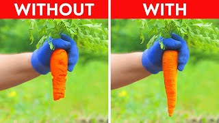 Useful Hacks To Grow Plants & Improve Your Garden