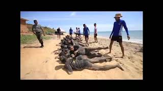 SLA Army, Special forces ,Diving මෙි යක්කුන්ගේ අඩවියයි...Army, SLA 12....2