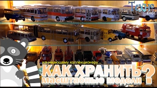Начинающему коллекционеру: Как хранить масштабные модели дома?