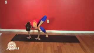 Missy White How To Dragon Fly