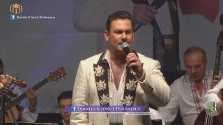 Ionuț Dolănescu - Călător am fost o viață