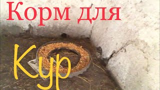 Прокормила курочек ?/постирала вещи /уборка в душе?/ приготовила смузи ?