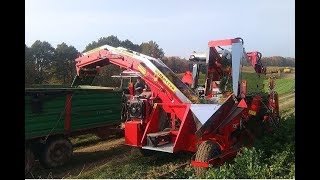Прицепной комбайн для петрушки/сельдерея Alina