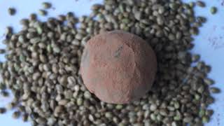 HFood Халва конопляная. Конфета. 25 грамм (Halva hemp. Candy 25g.)