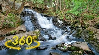 360° 4K VR - Virtual Forest: crickets and water sounds - Ambisonic