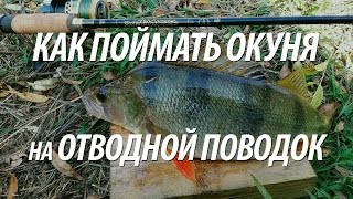 ЛОВЛЯ ОКУНЯ НА ОТВОДНОЙ ПОВОДОК. КАК ЛОВИТЬ ОКУНЯ НА СПИННИНГ С БЕРЕГА
