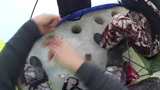 Рыбалка / Попали на жор плотвы / Республика Коми / Плотва / Зимняя рыбалка