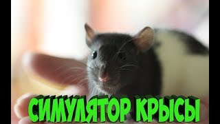 ЧТО ЕСЛИ ТЫ КРЫСА ???? [Rat Simulator]