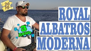 ЕГИПЕТ ЗИМОЙ! МОРЕ ?️ РЫБКИ ? НОМЕР ? УЖИН ? ЕДА! ROYAL ALBATROS MODERNA 2019. ДЕНЬ 3