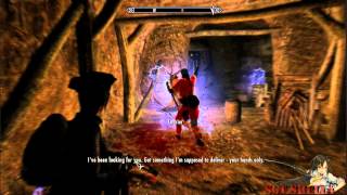 Metal Gear Skyrim: Hardworking Courier