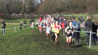 U13G 2014 Southern XC Champs