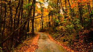 Overwhelmed, Little Shepherd Trail, Eastern, KY