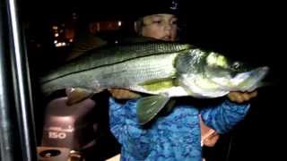 Snook and Tarpon Fishing Dock Lights