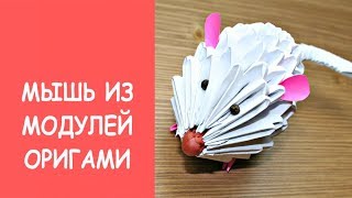 Мышь из модулей оригами ?пошагово