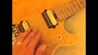 Try the whammy bar!