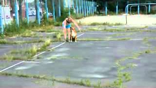 Тренировка Обидиенс 1