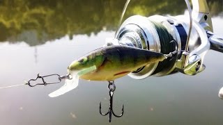 Spinning com Salmo - Executor 7