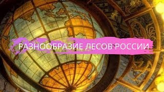 География 8 класс $26 Разнообразие лесов России