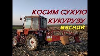 КОСИМ ВЕСНОЙ СУХУЮ КУКУРУЗУ  РОТОРНОЙ КОСИЛКОЙ Т-25/KOSIM DRY CORN SPRING